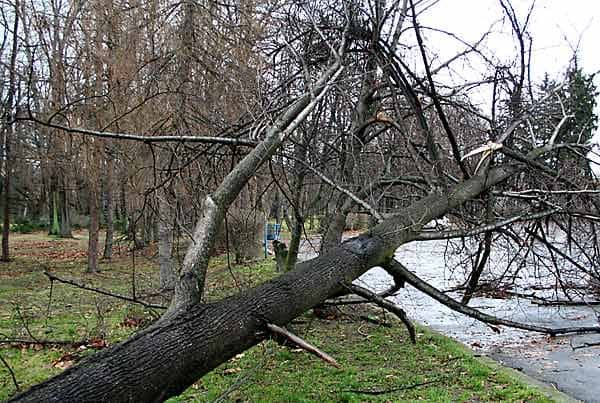 Wciąż usuwają skutki wichury