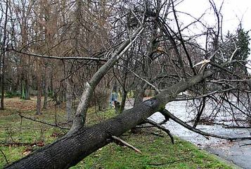 Wciąż usuwają skutki wichury