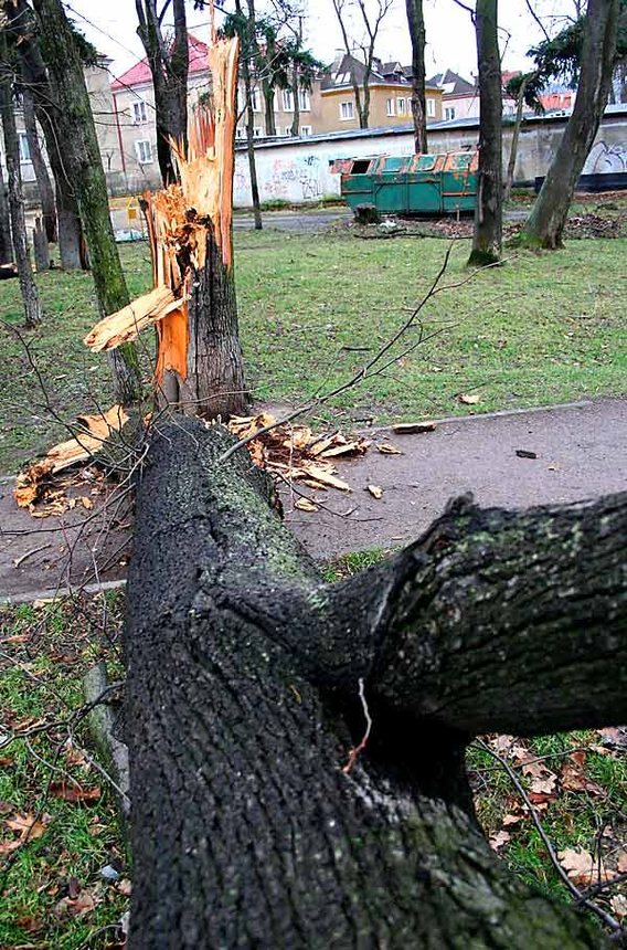Wciąż usuwają skutki wichury