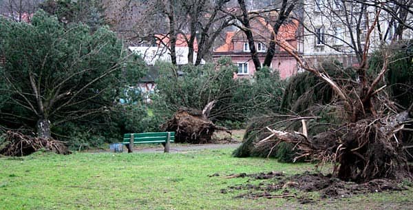 Wciąż usuwają skutki wichury