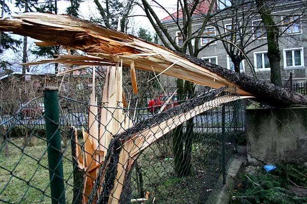 Wciąż usuwają skutki wichury
