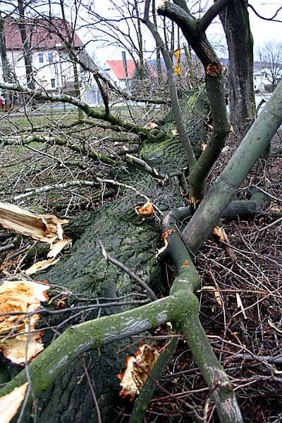 Wciąż usuwają skutki wichury