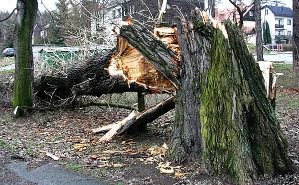 Wciąż usuwają skutki wichury