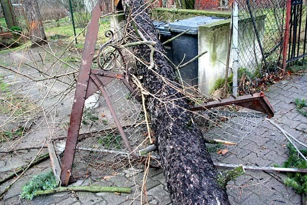 Wciąż usuwają skutki wichury