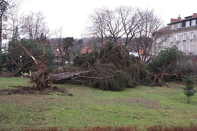 Wciąż usuwają skutki wichury