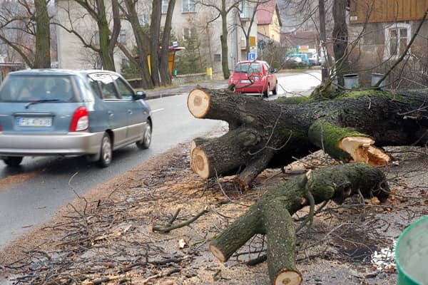 Wciąż usuwają skutki wichury
