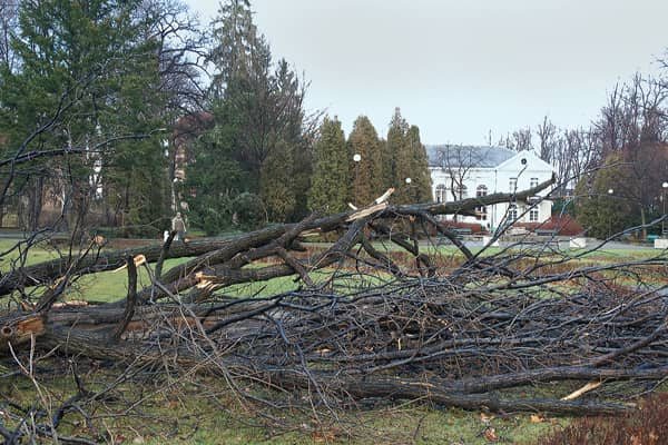 Wciąż usuwają skutki wichury
