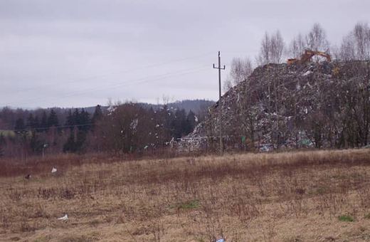 Rosnąca hałda odpadków fatalnie wpływa nie tylko na krajobraz okolic Siedlęcina.