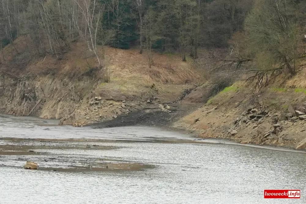 Spuszczanie wody w Pilchowicach, co dalej z rybami?