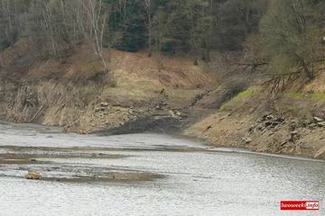 Spuszczanie wody w Pilchowicach, co dalej z rybami?