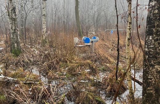 Absurd goni absurd – wygrywa siłownia dla bobrów