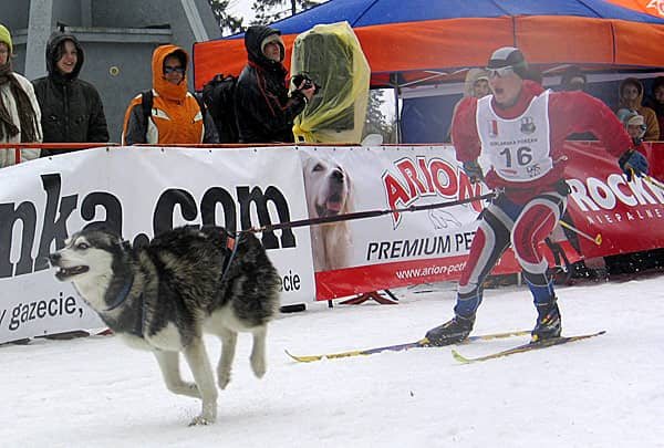 Justyna Wojtas ze swoim psem Paco.
