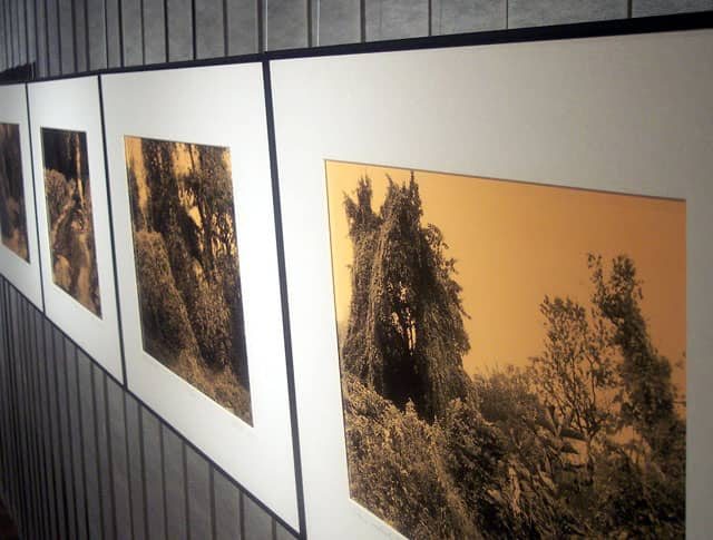 Warto zobaczyć fascynujący świat fotografii Piotra Komorowskiego.
