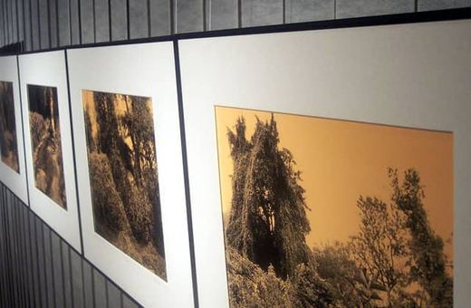 Warto zobaczyć fascynujący świat fotografii Piotra Komorowskiego.