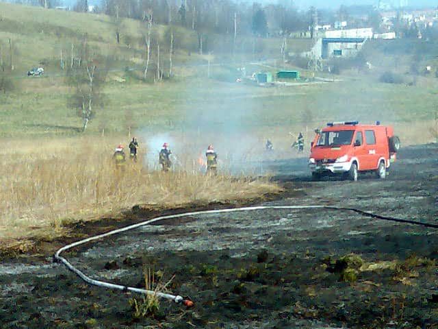 Poniedziałkowa akcja gaszenia płonących łąk w rejonie drogi na Zgorzelec.