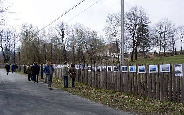 Podpatrzone wisi na płocie