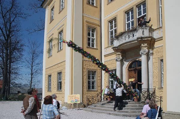 Twardy orzech do zgryzienia