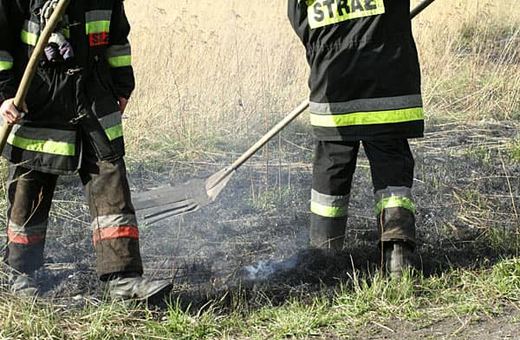 Do płonących łąk i nieużytków strażacy wyjeżdżali już ponad sto razy. Z powodu braku opadów może się zwiększyć liczba pożarów w lasach.