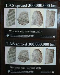 Las skamieniał