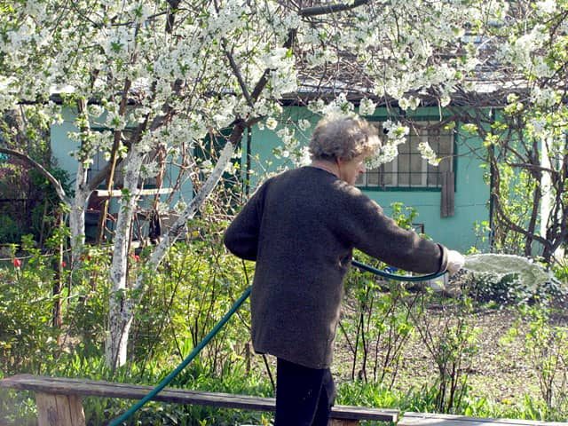 Mimo ostatnich opadów deszczu, susza daje się wciąż we znaki.