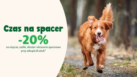 Czas na spacer – jak się przygotować by codzienne wyjście z pupilem stało się wartościowym rytuałem