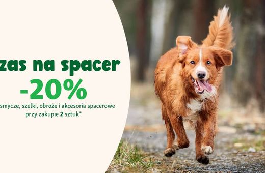 Czas na spacer – jak się przygotować by codzienne wyjście z pupilem stało się wartościowym rytuałem