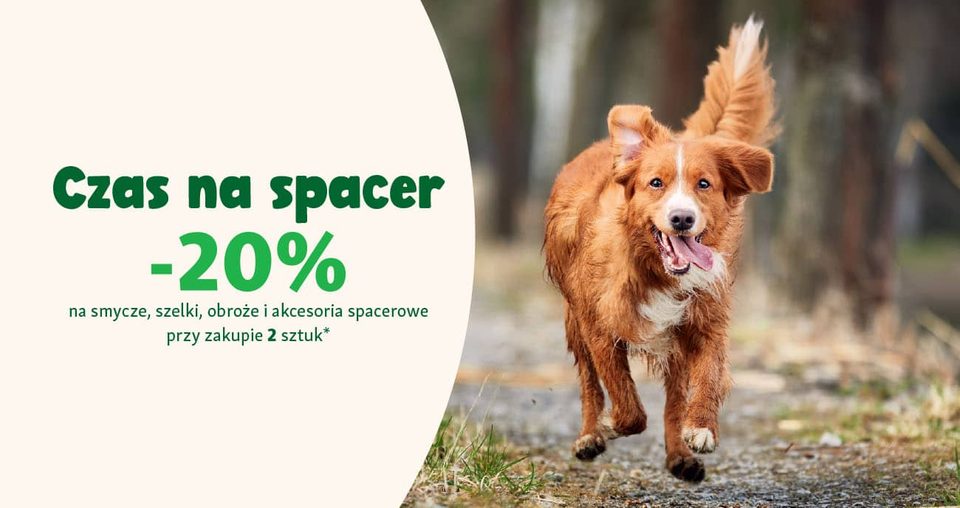 Czas na spacer – jak się przygotować by codzienne wyjście z pupilem stało się wartościowym rytuałem