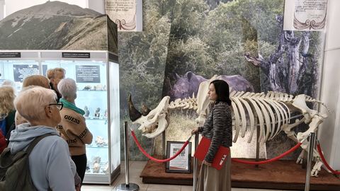 Spacer do Muzeum Przyrodniczego