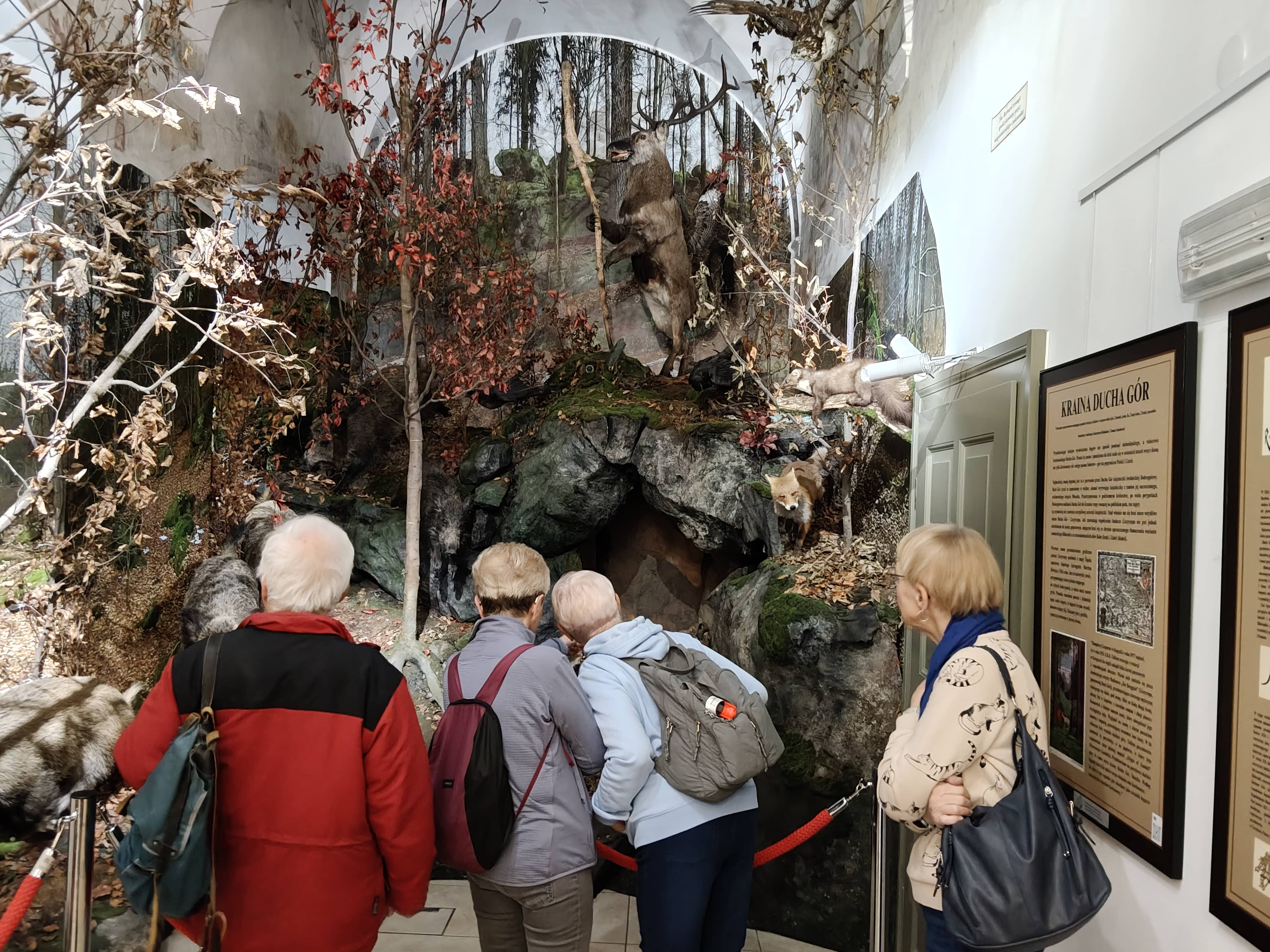 Spacer do Muzeum Przyrodniczego