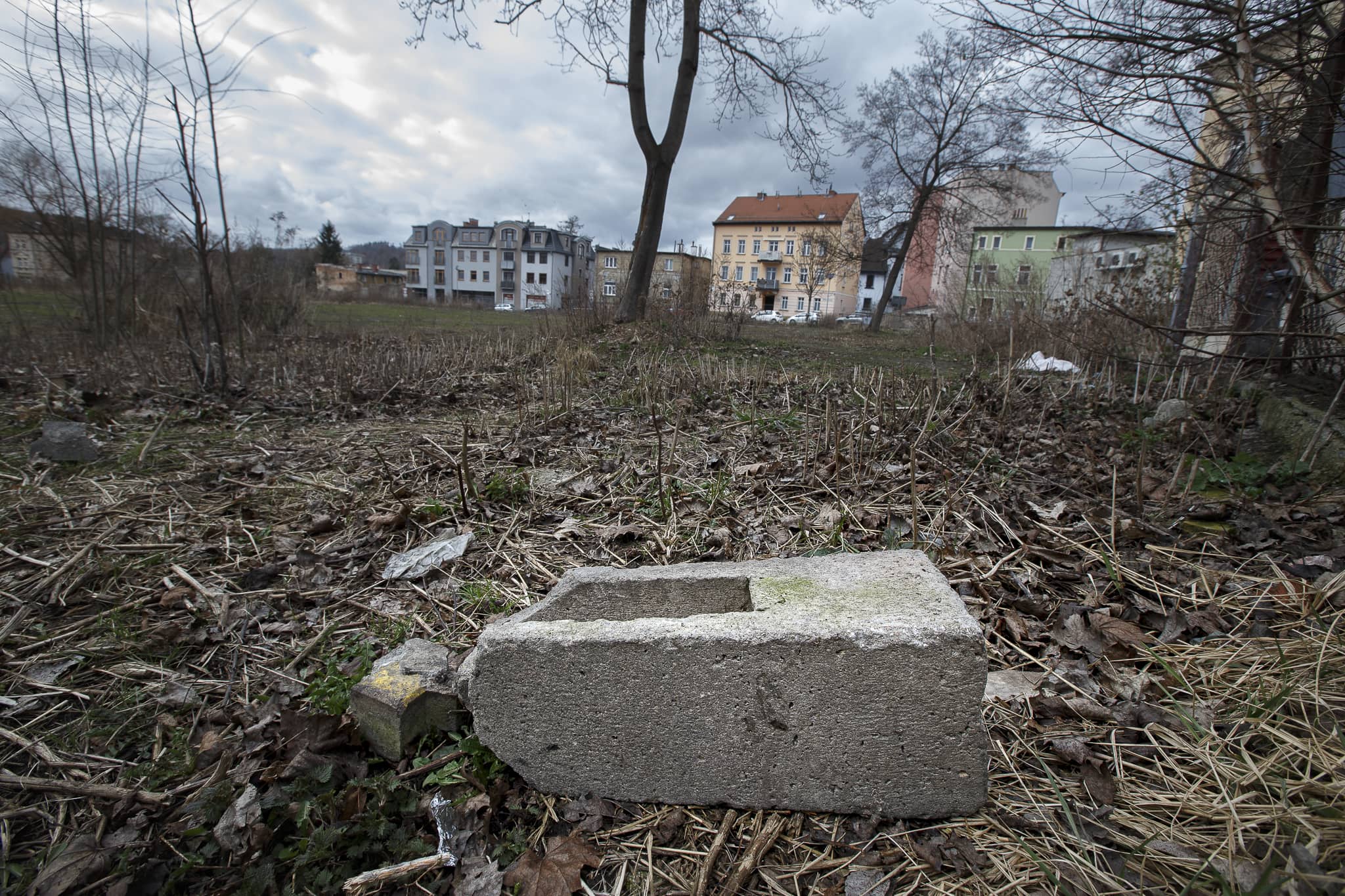 Miasto szuka pieniędzy na rewitalizację Flory
