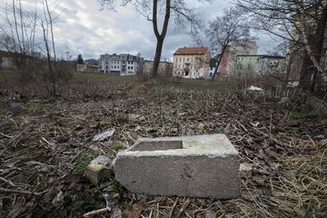 Miasto szuka pieniędzy na rewitalizację Flory