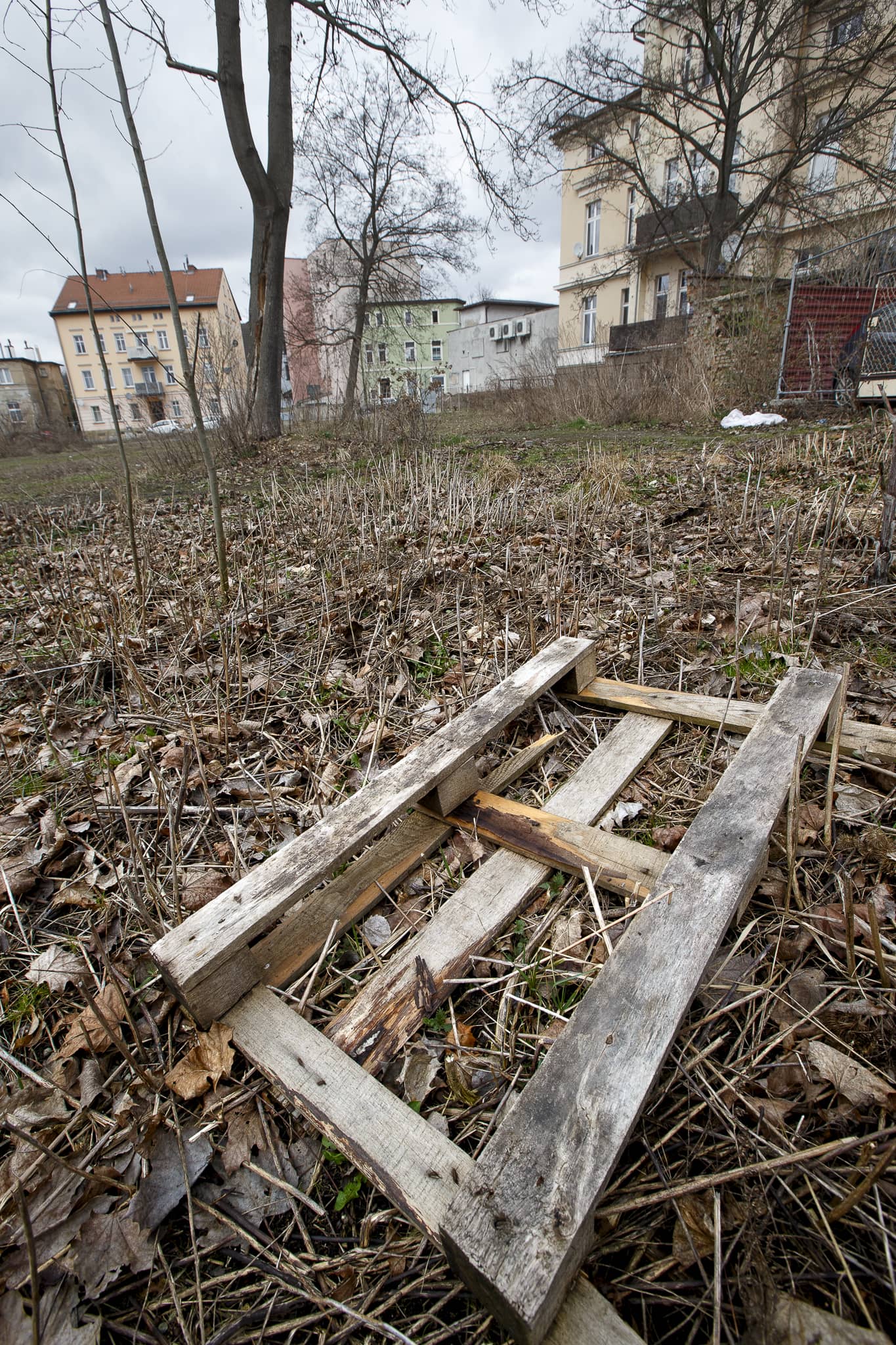 Miasto szuka pieniędzy na rewitalizację Flory