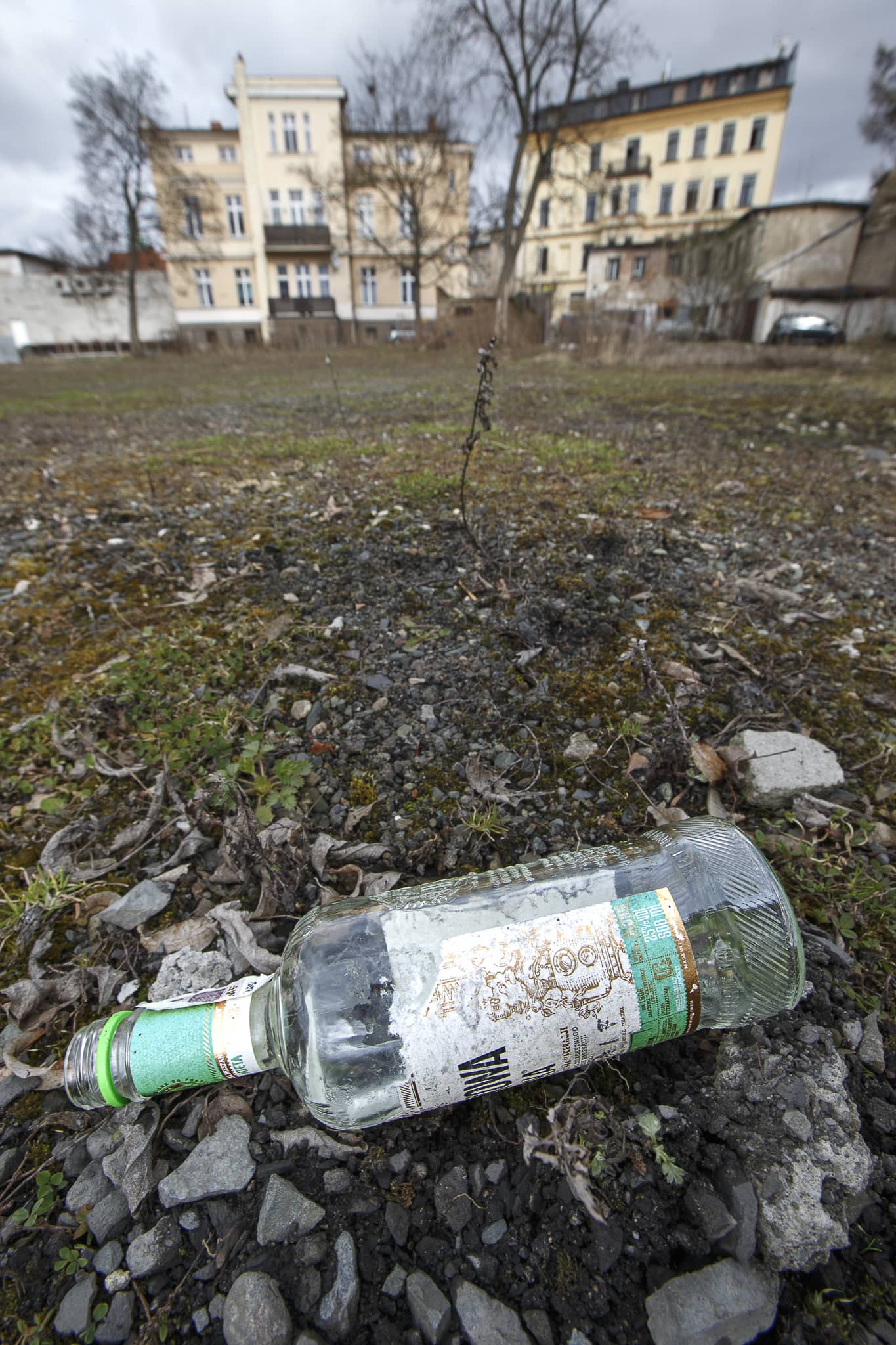 Miasto szuka pieniędzy na rewitalizację Flory