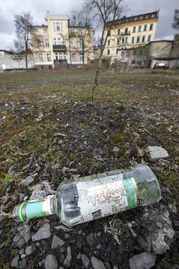 Miasto szuka pieniędzy na rewitalizację Flory