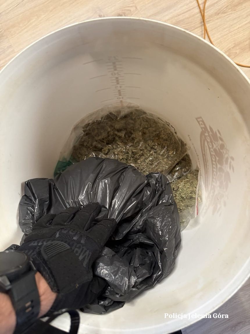 Ponad 1,6 kg marihuany zabezpieczone przez jeleniogórskich kryminalnych