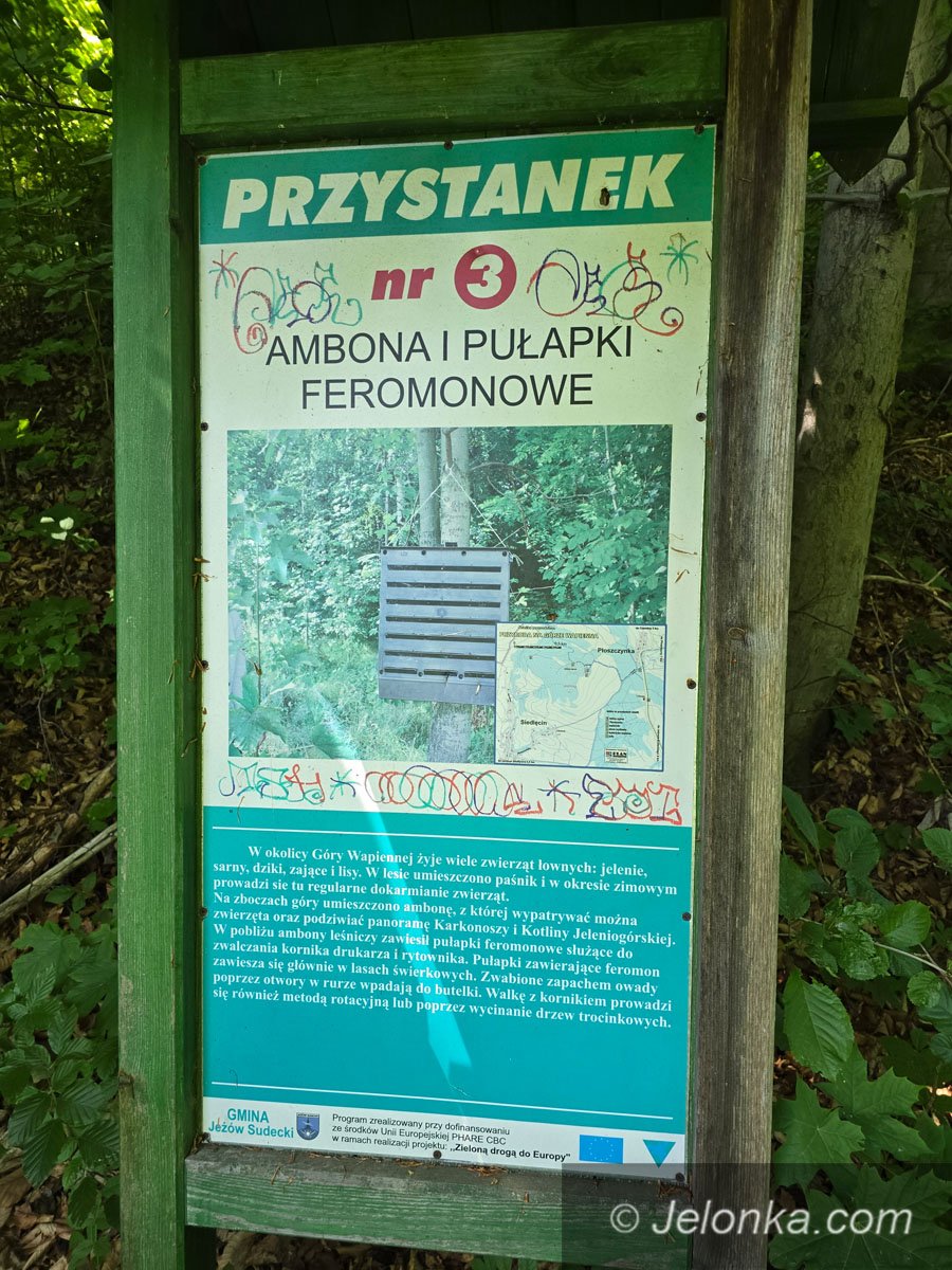 Piece wapienne koło Płoszczynki