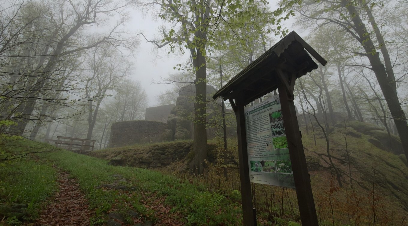 Śladem rycerzy-rozbójników. Jednodniowa wyprawa na Bolczów