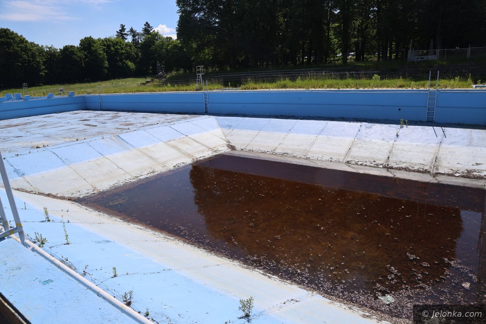 Umowa na projekt basenu przy Sudeckiej