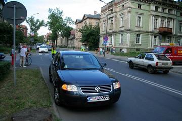 Feralna "zebra" przy sądzie