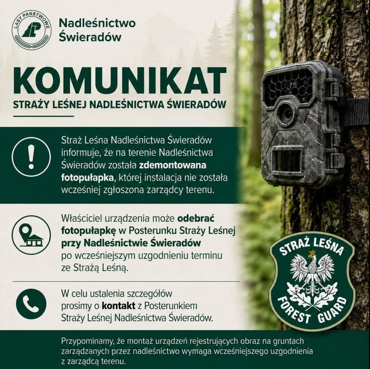 Kto zamontował fotopułapkę w lesie?