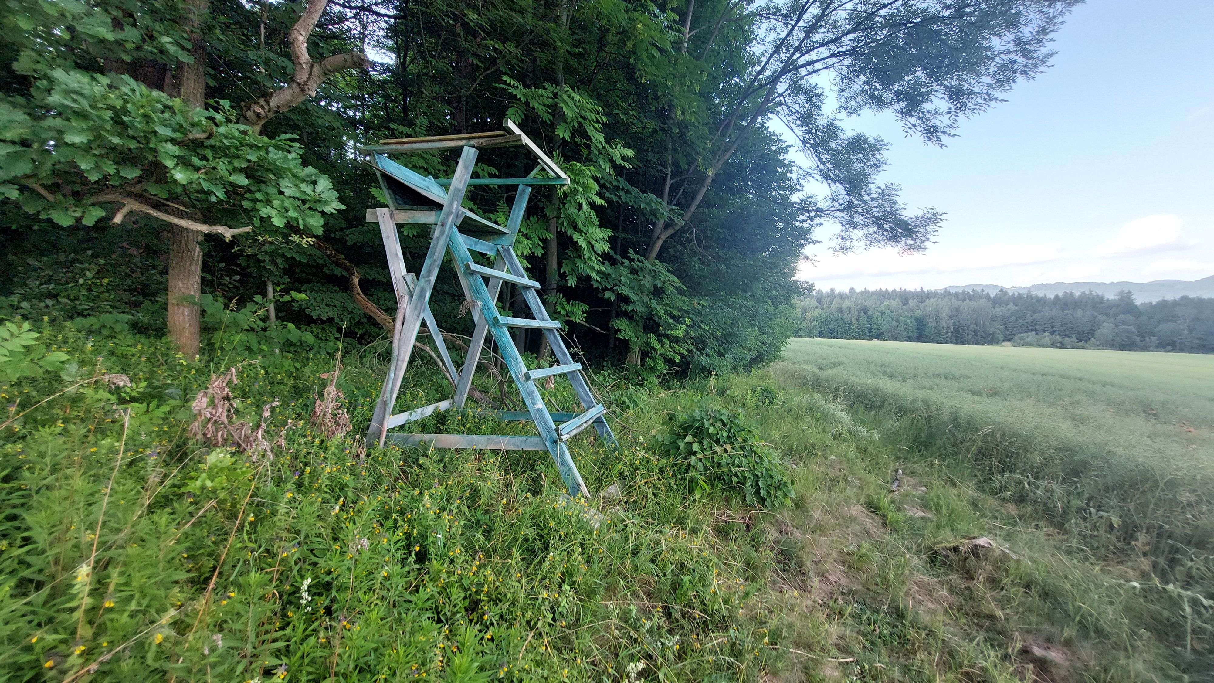 Ambona i pułapki - przystanek na ścieżce wokół Góry Wapiennej