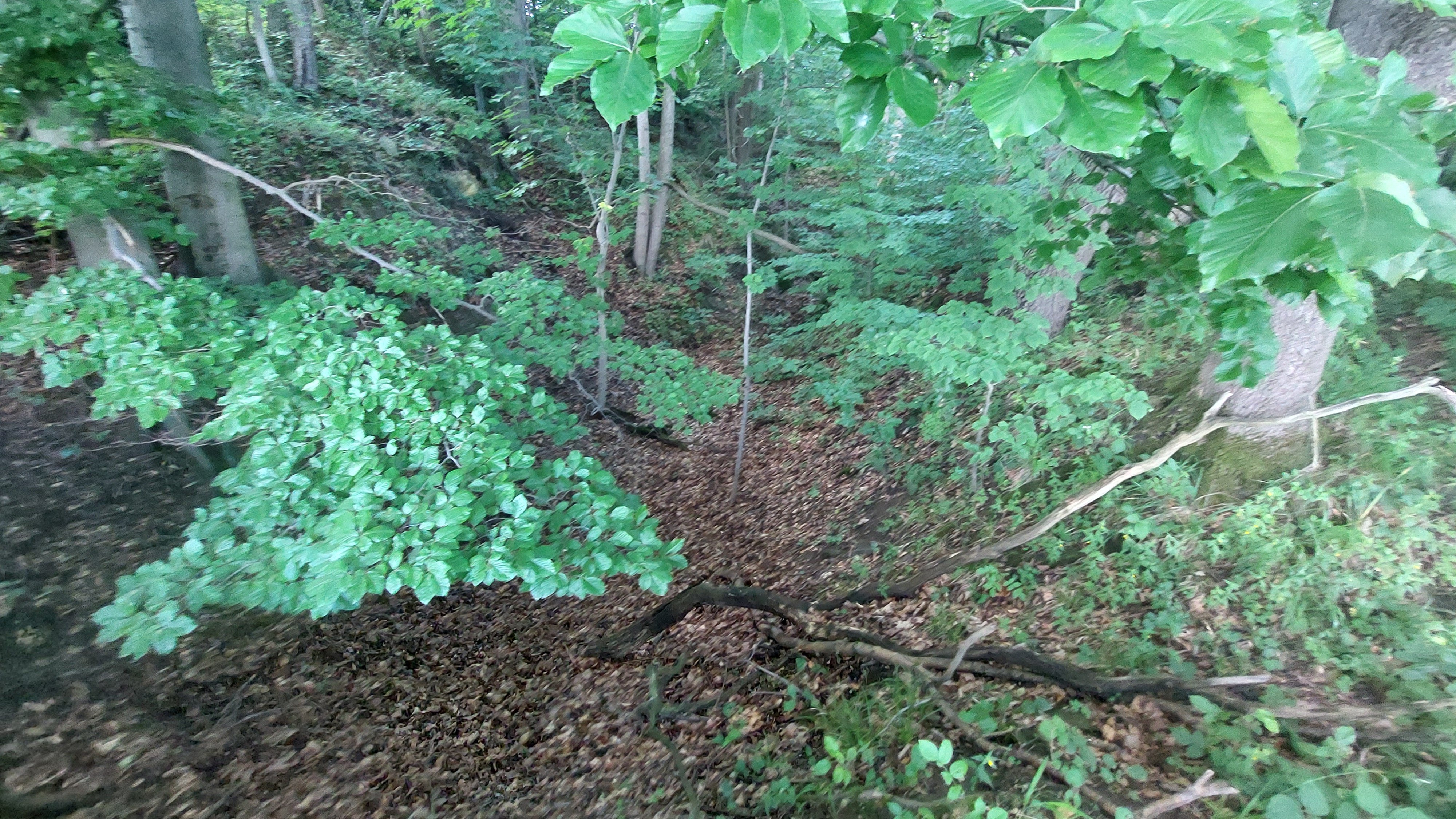 Wyrobiska Góry Wapiennej skrywają historię sprzed wieków