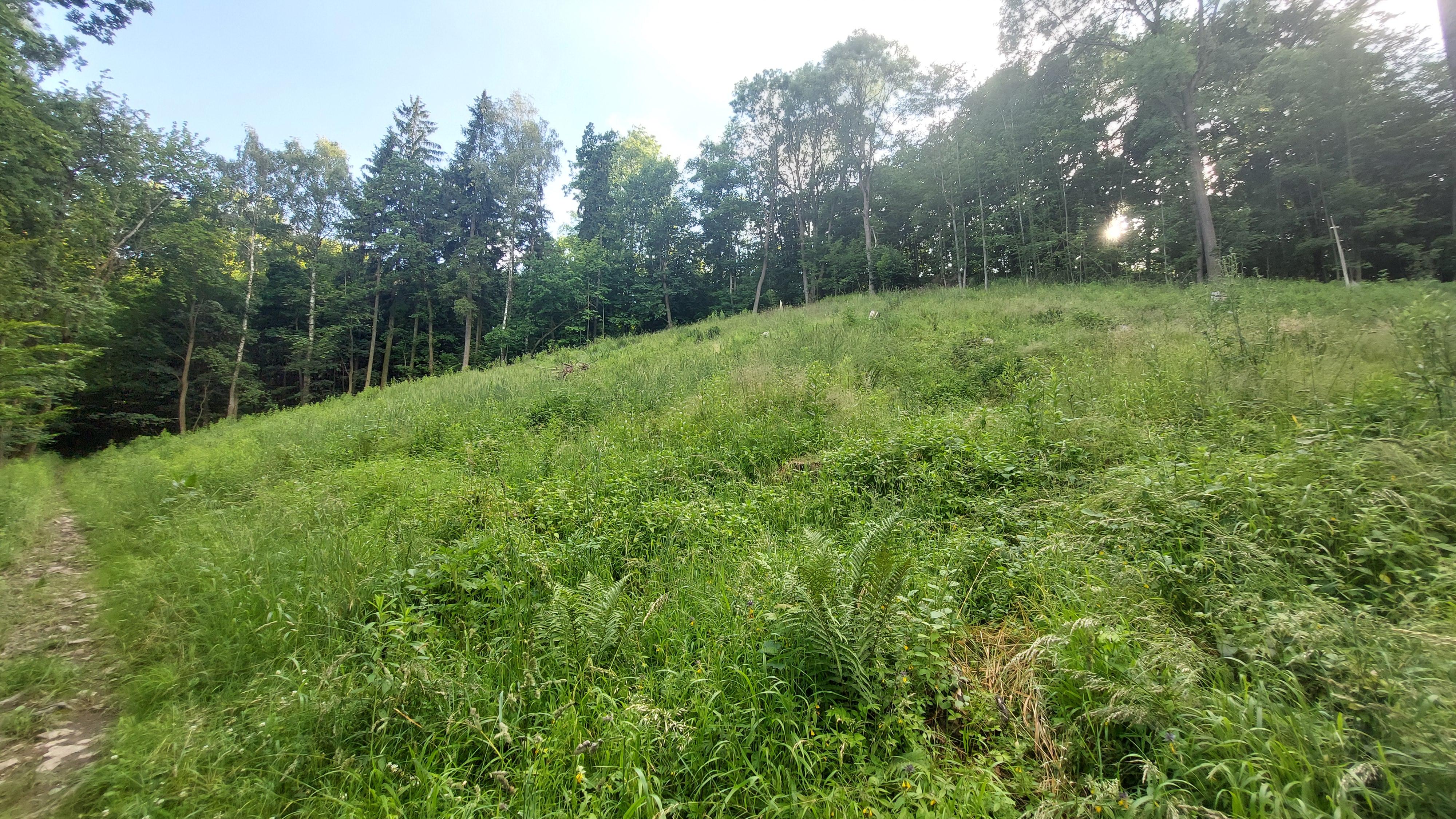 Wyrobiska Góry Wapiennej skrywają historię sprzed wieków
