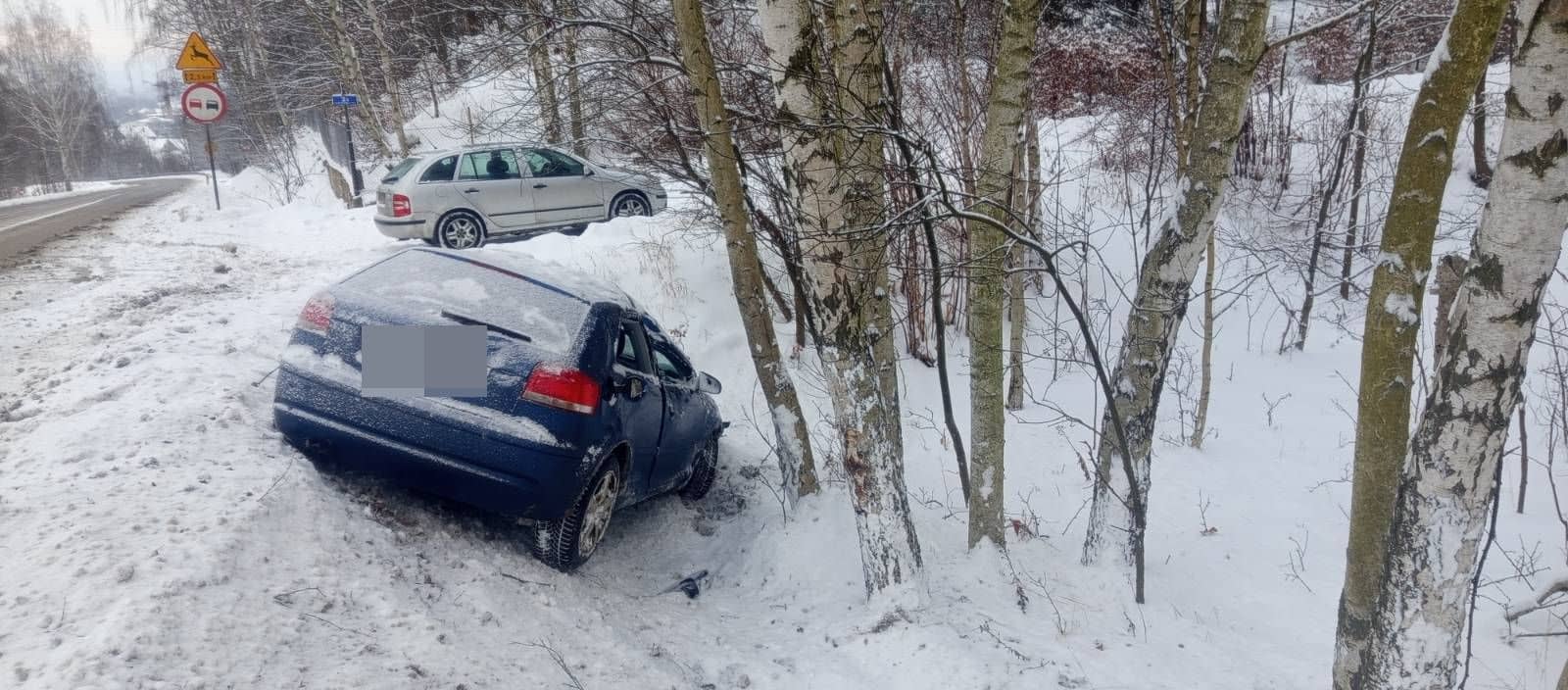 Audi wylądowało w rowie
