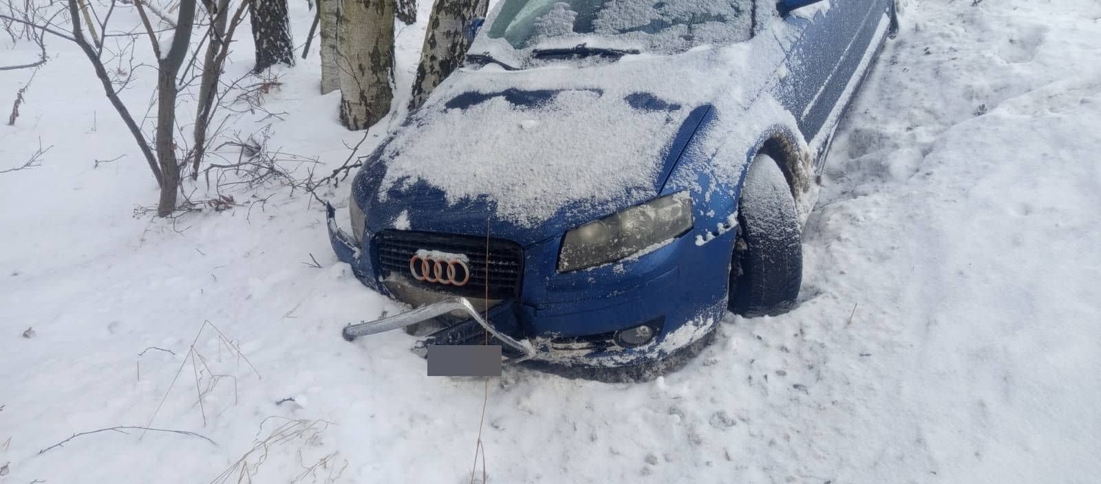Audi wylądowało w rowie
