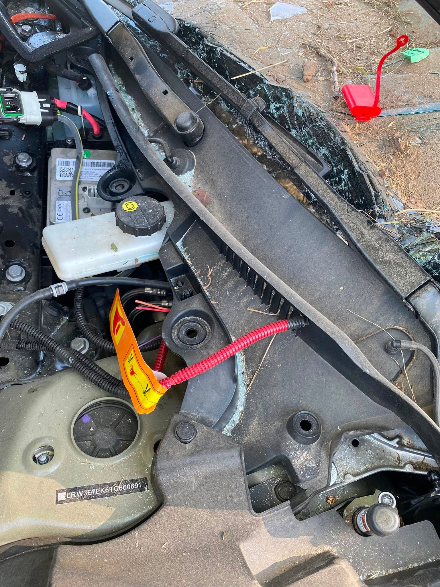 Auto elektryczne rozbite o drzewo