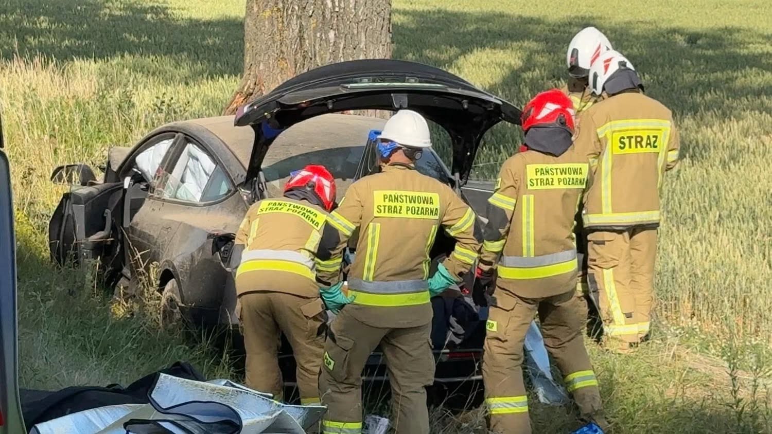 Auto elektryczne rozbite o drzewo