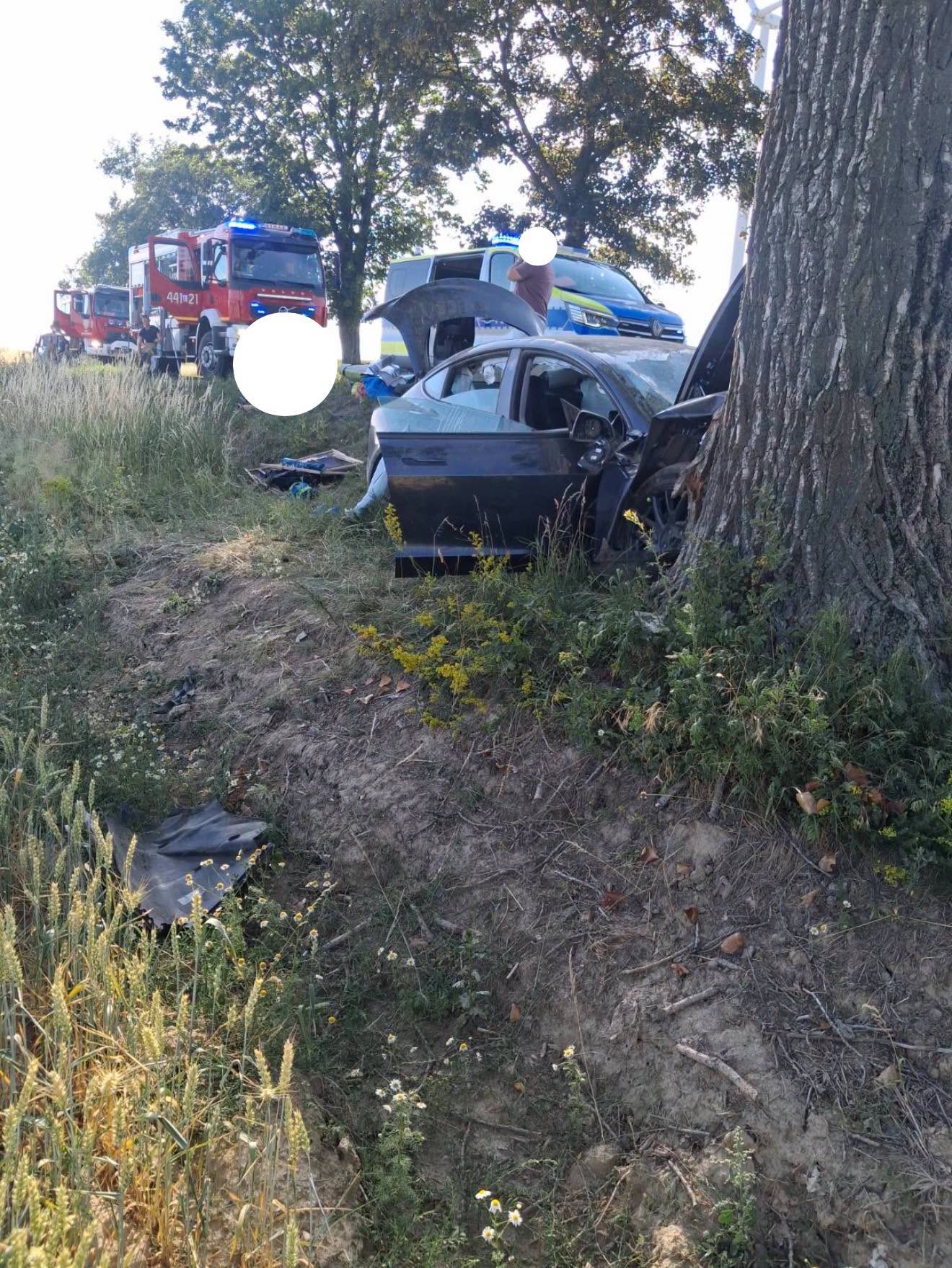 Auto elektryczne rozbite o drzewo