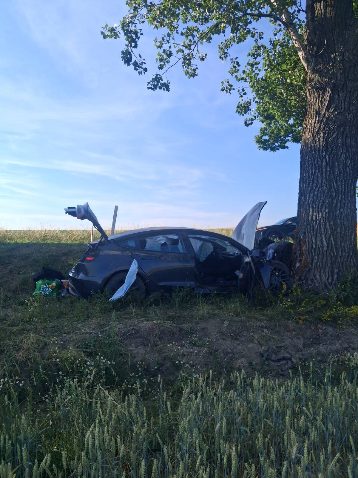 Auto elektryczne rozbite o drzewo