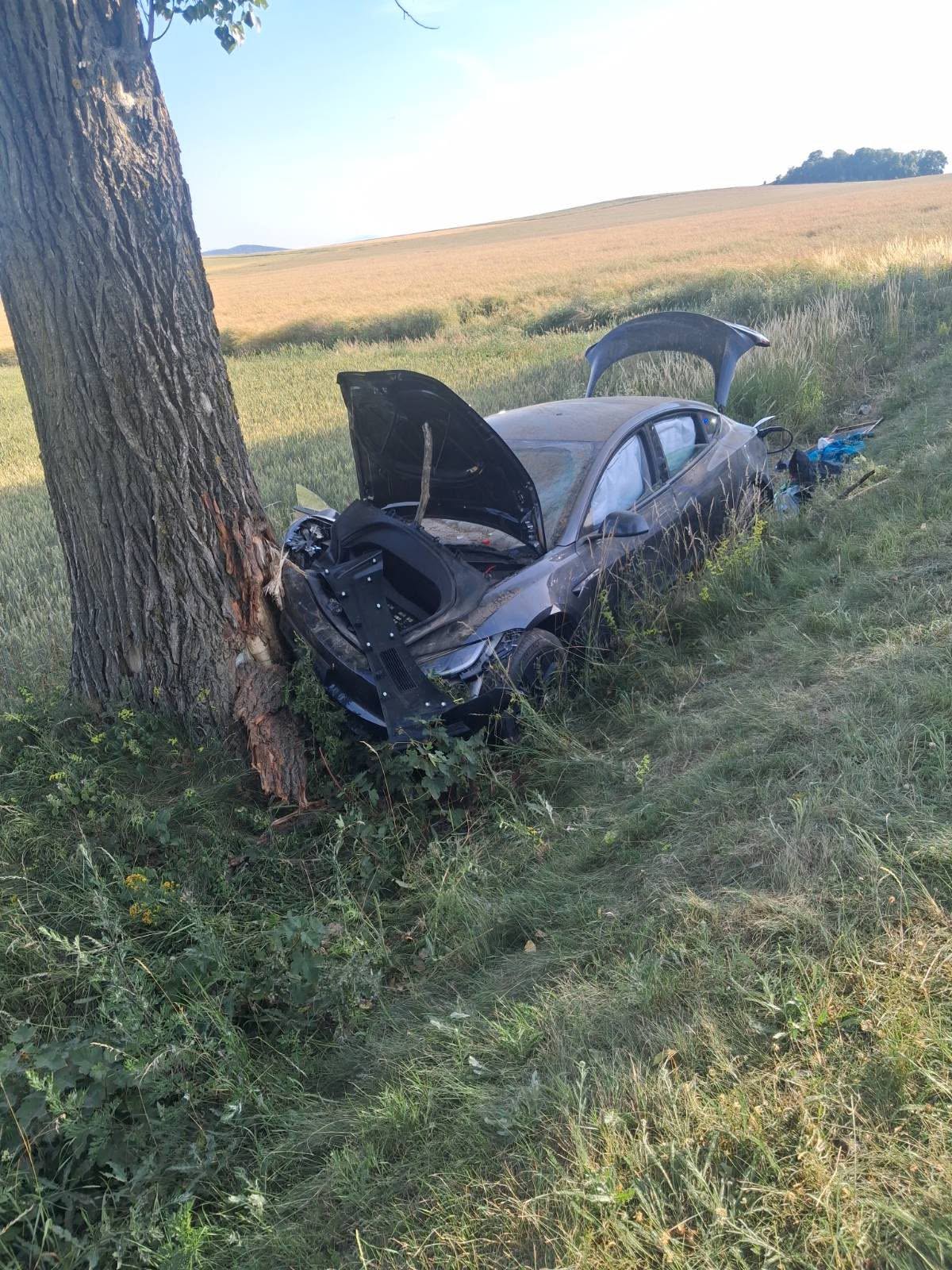 Auto elektryczne rozbite o drzewo
